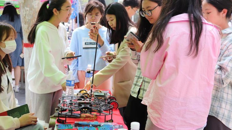大数据分析解决方案：功能差异解析与选择要点